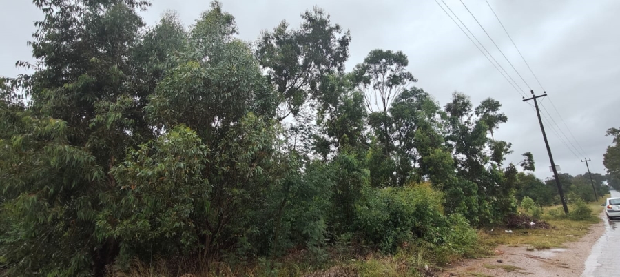 0 Bedroom Property for Sale in Greenbushes Eastern Cape